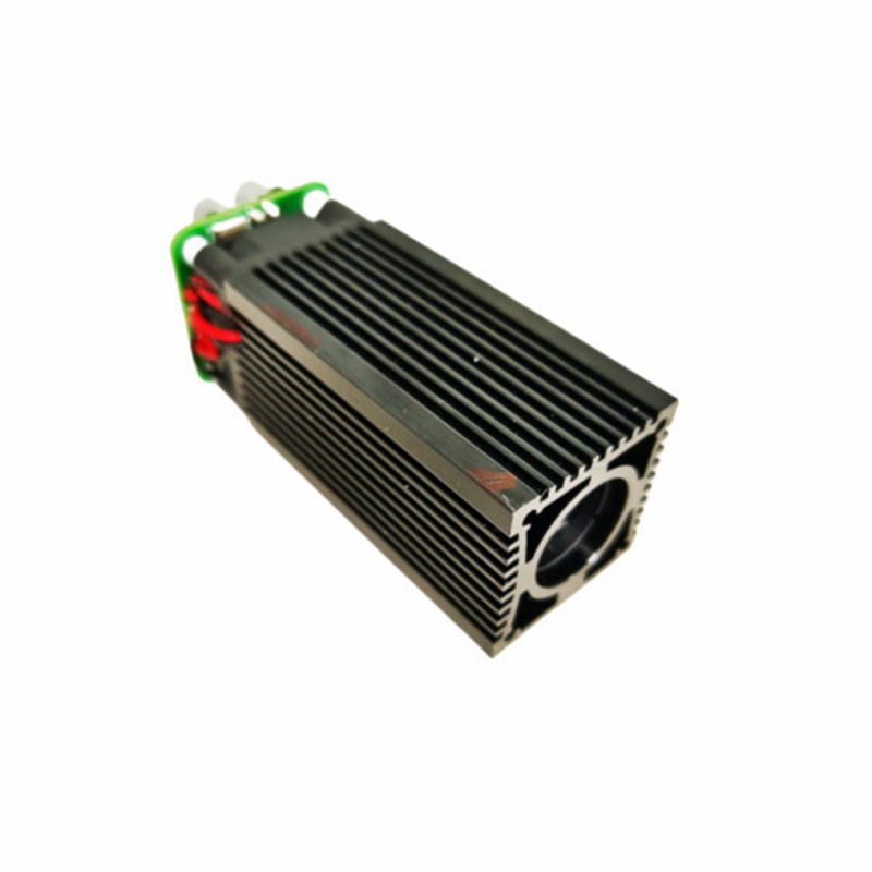 520nm 300mw/800mw/1000mw 녹색 지방 - Industrial Laser Module 리뷰 및 가격